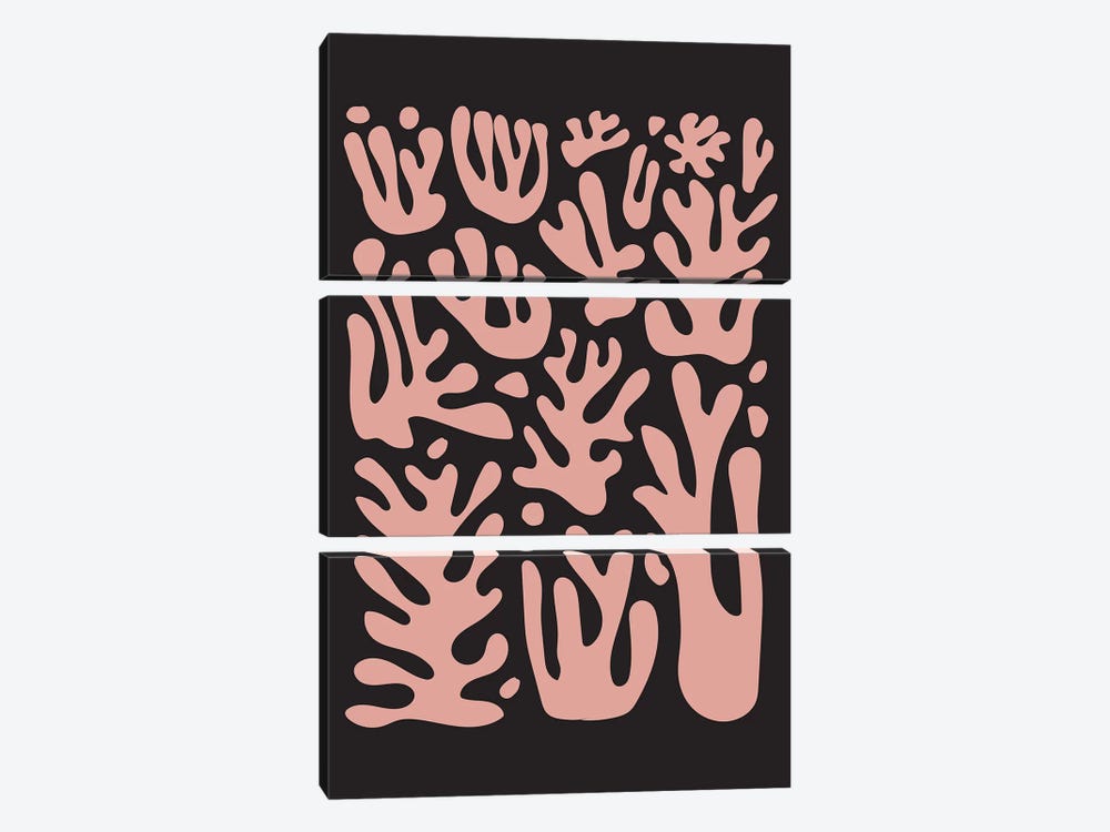Coral Pink On Black by Izabela Pichotka 3-piece Canvas Art Print