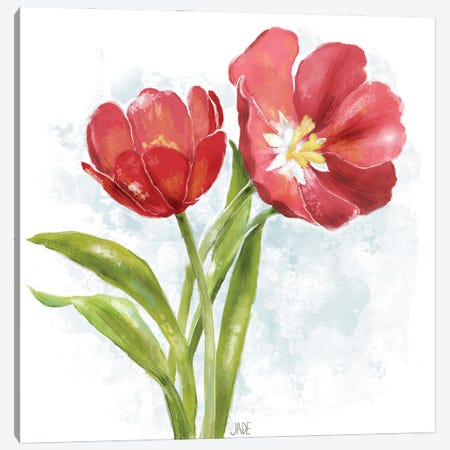 Red Tulip Splash I Canvas Print #JAD124} by Jade Reynolds Canvas Art