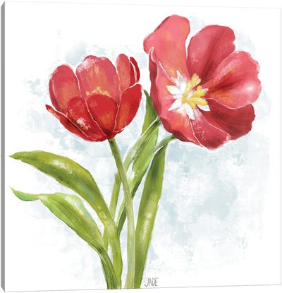 Red Tulip Splash I Canvas Art Print