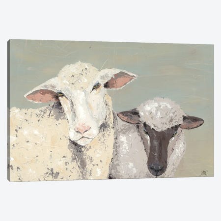Sweet Lambs I Canvas Print #JAD17} by Jade Reynolds Canvas Art Print