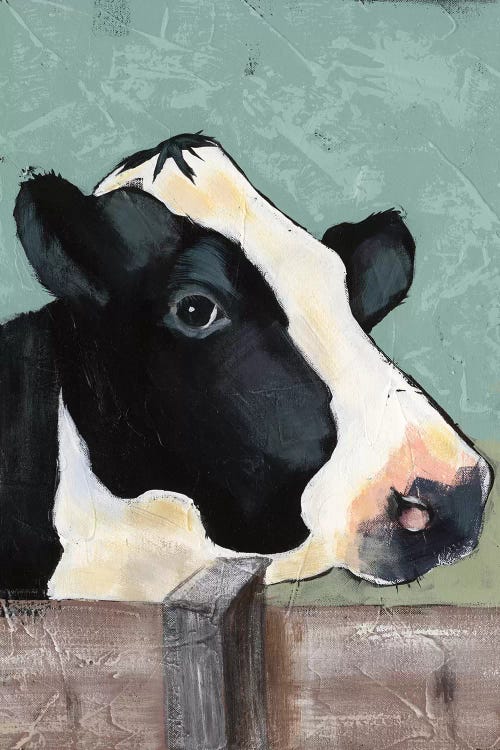 Holstein Cow I