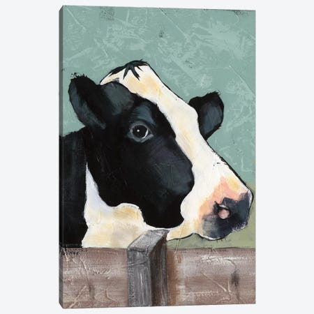 Holstein Cow I Canvas Print #JAD1} by Jade Reynolds Canvas Artwork