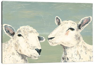 Bashful Sheep I Canvas Art Print