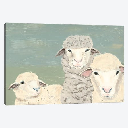 Bashful Sheep II Canvas Print #JAD26} by Jade Reynolds Canvas Art