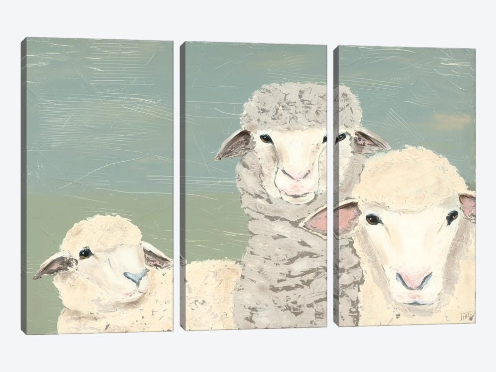 Bashful Sheep II by Jade Reynolds 3-piece Canvas Art