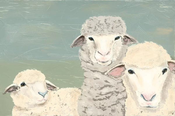 Sheep: Bashful Sheep II by Jade Reynolds