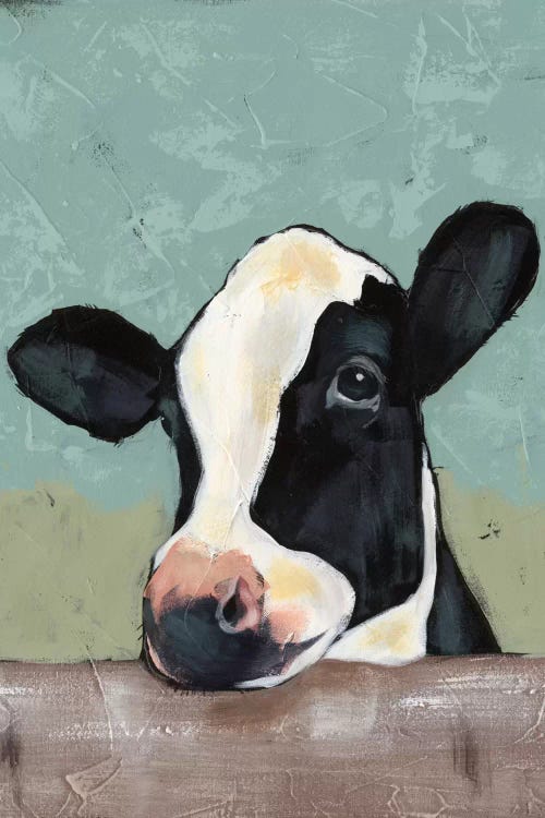 Holstein Cow II