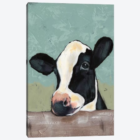 Holstein Cow II Canvas Print #JAD2} by Jade Reynolds Canvas Art