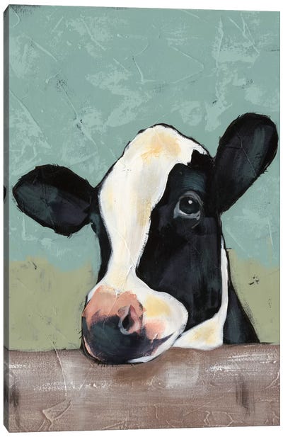 Holstein Cow II Canvas Art Print - Farmhouse Kitchen Art