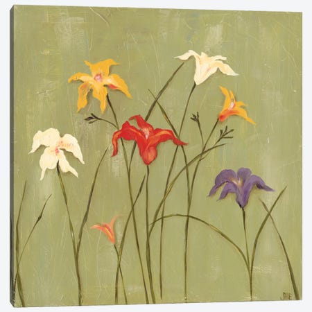 Jeweled Lilies I Canvas Print #JAD31} by Jade Reynolds Canvas Wall Art