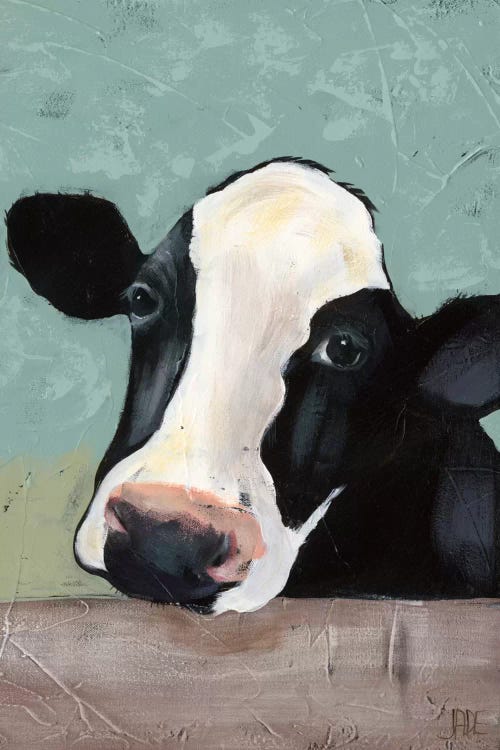 Holstein Cow III