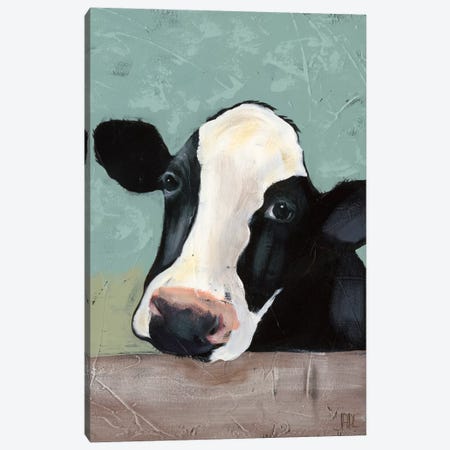 Holstein Cow III Canvas Print #JAD3} by Jade Reynolds Canvas Art