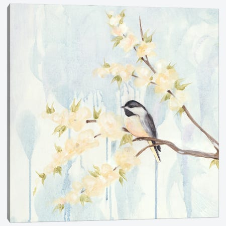 Spring Chickadees I Canvas Print #JAD4} by Jade Reynolds Canvas Print