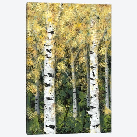Birch Treeline I Canvas Print #JAD53} by Jade Reynolds Canvas Wall Art