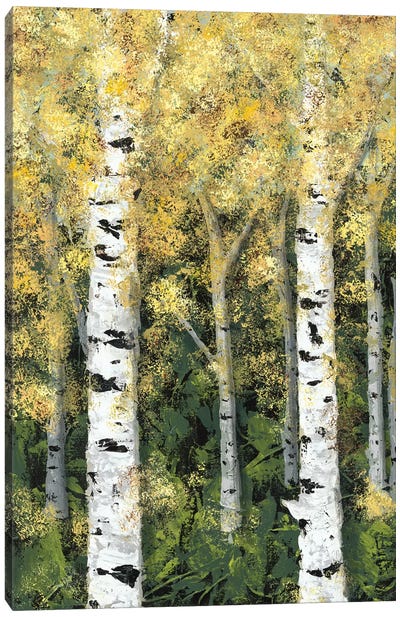 Birch Treeline I Canvas Art Print