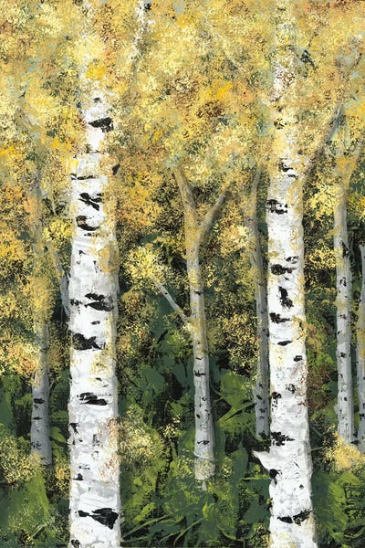 Birch Trees: Birch Treeline I by Jade Reynolds
