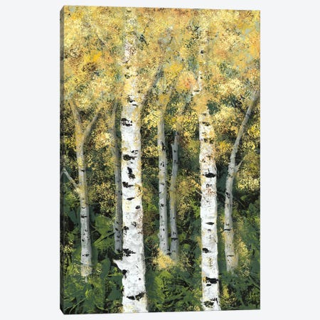 Birch Treeline II Canvas Print #JAD54} by Jade Reynolds Art Print