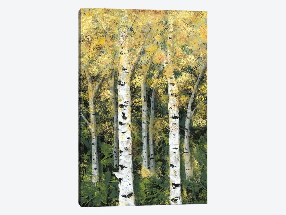 Birch Treeline II 1-piece Canvas Print