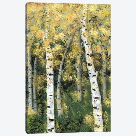 Birch Treeline III Canvas Print #JAD55} by Jade Reynolds Canvas Art Print