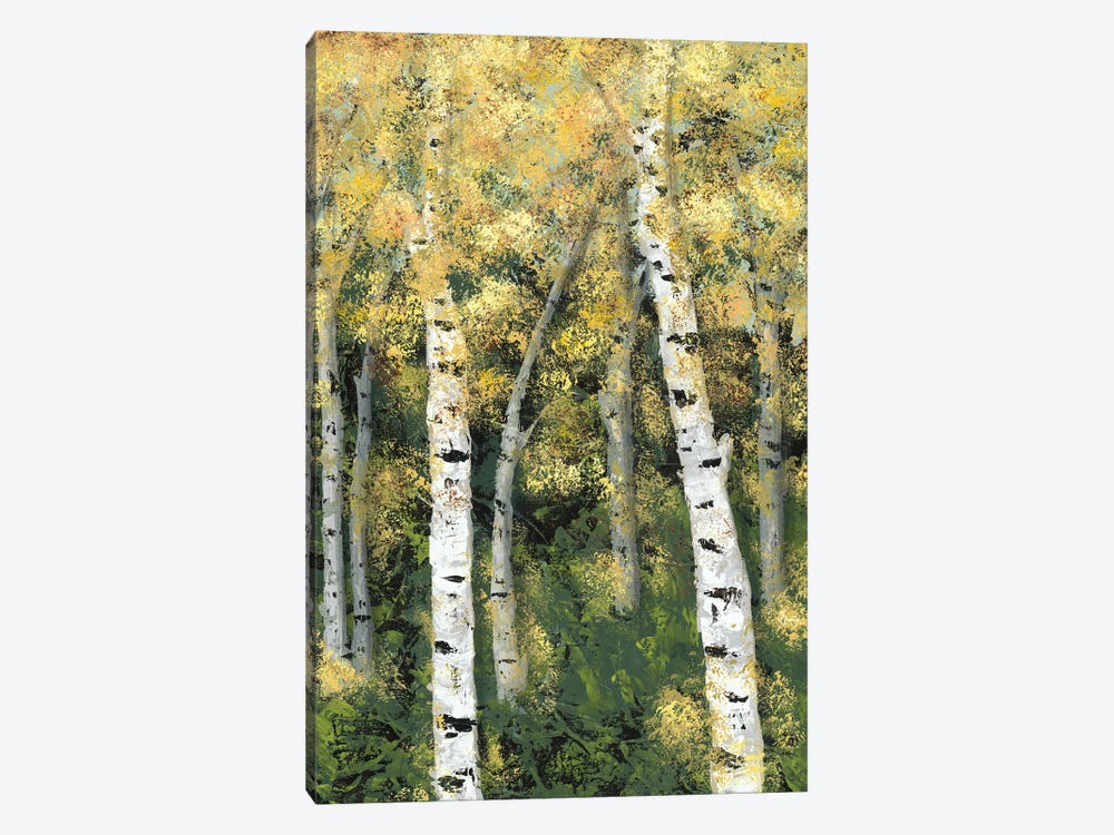 Birch Treeline III by Jade Reynolds 1-piece Canvas Artwork