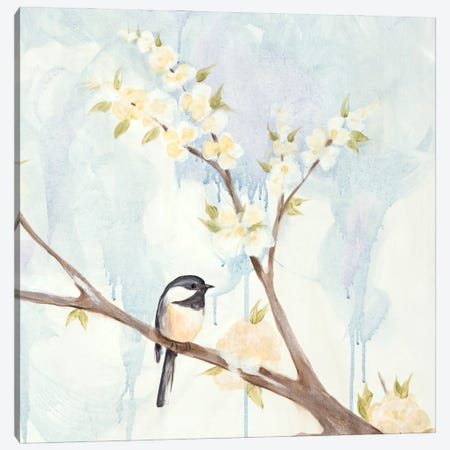 Spring Chickadees II Canvas Print #JAD5} by Jade Reynolds Canvas Print
