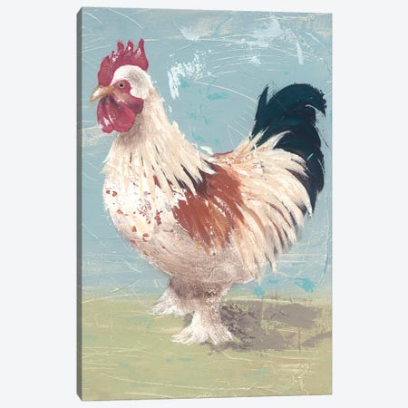Farm Life-Chickens II Canvas Print #JAD65} by Jade Reynolds Canvas Wall Art