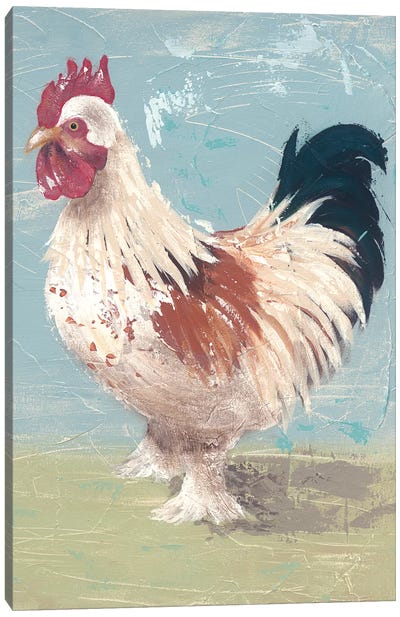 Farm Life-Chickens II Canvas Art Print