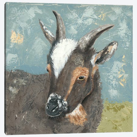 Farm Life-Grey Goat Canvas Print #JAD68} by Jade Reynolds Canvas Art Print