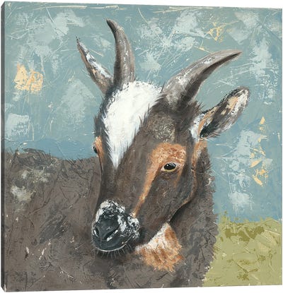 Farm Life-Grey Goat Canvas Art Print