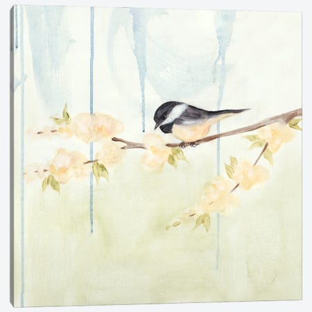 Spring Chickadees III Canvas Print #JAD6} by Jade Reynolds Canvas Art Print