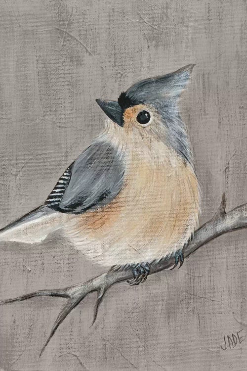Winter Bird I by Jade Reynolds wall art