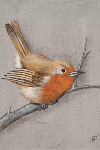 Winter Bird II by Jade Reynolds framed canvas print