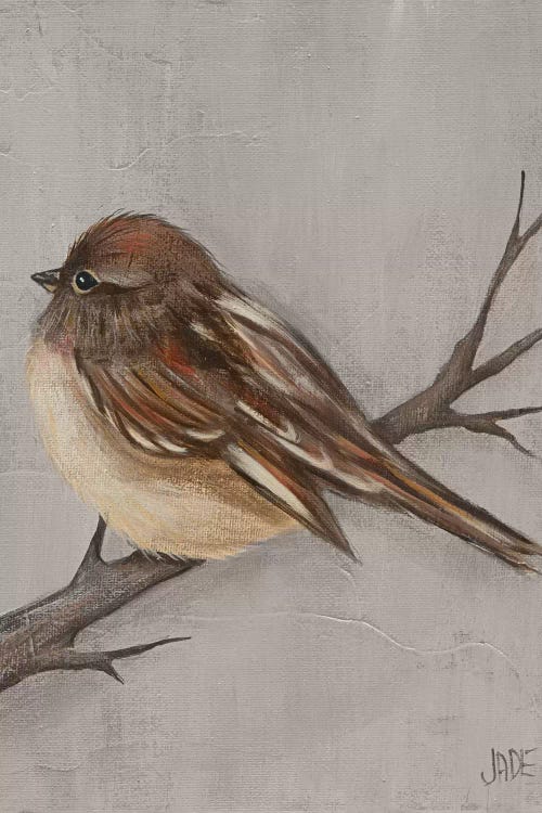 Winter Bird III by Jade Reynolds wall art