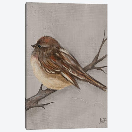 Winter Bird III Canvas Print #JAD83} by Jade Reynolds Art Print
