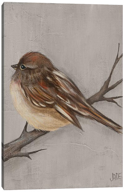 Winter Bird III Canvas Art Print