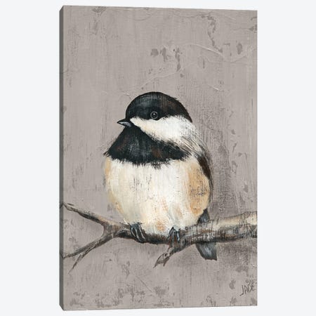 Winter Bird IV Canvas Print #JAD84} by Jade Reynolds Canvas Art