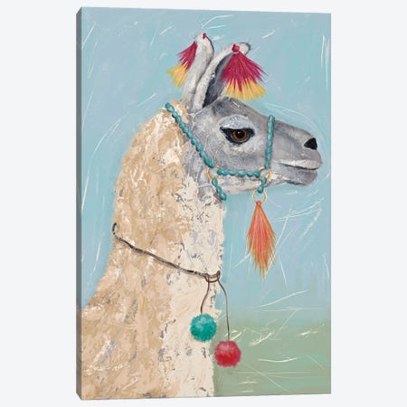 Painted Llama II Canvas Print #JAD99} by Jade Reynolds Canvas Art