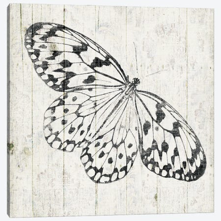Butterfly Canvas Print #JAG39} by Jace Grey Canvas Art Print