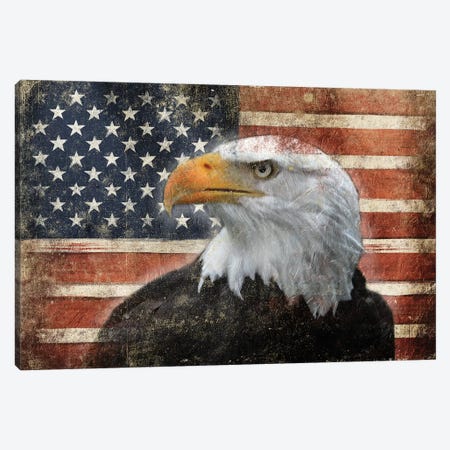 Eagle And Flag Canvas Print #JAG3} by Jace Grey Art Print