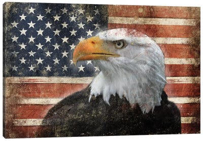 Eagle And Flag Canvas Art Print - Eagle Art