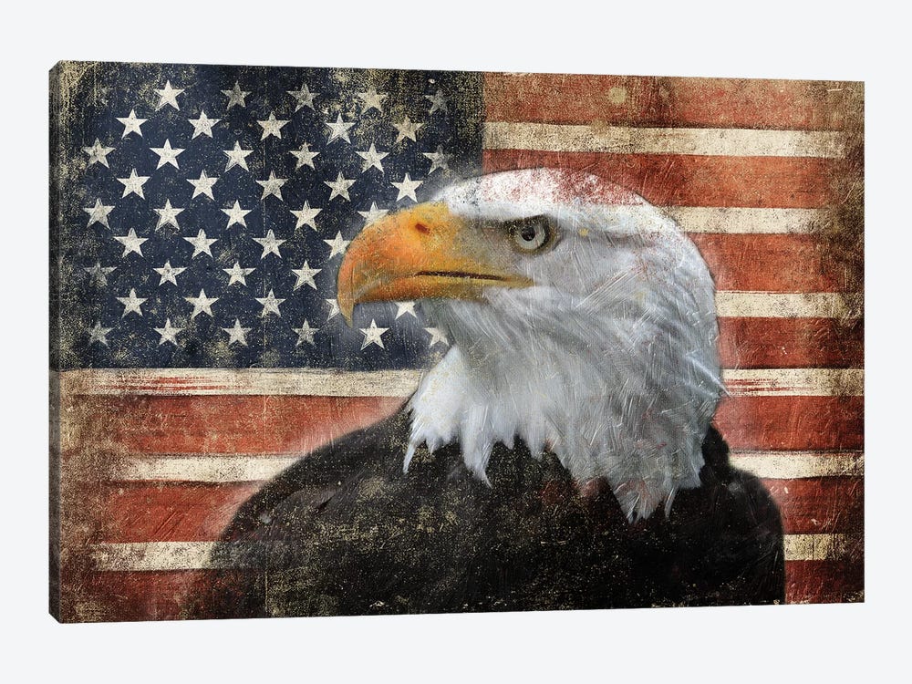Eagle And Flag by Jace Grey 1-piece Canvas Print