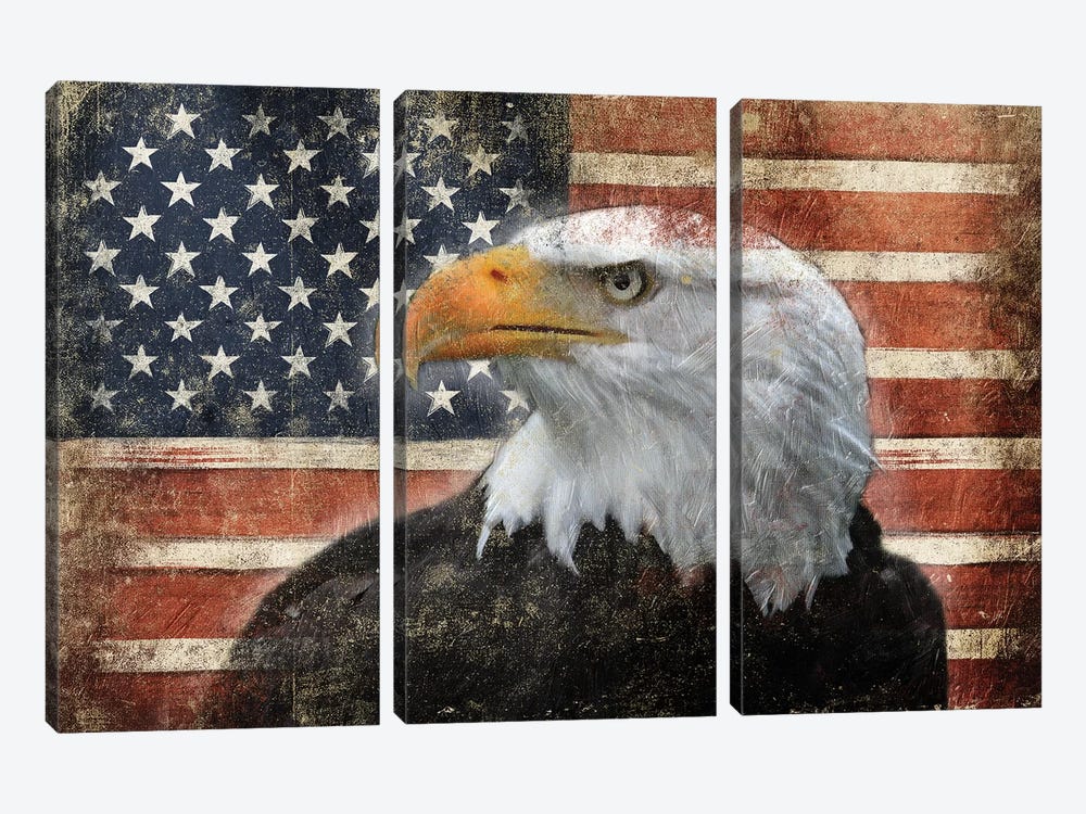 Eagle And Flag 3-piece Canvas Print