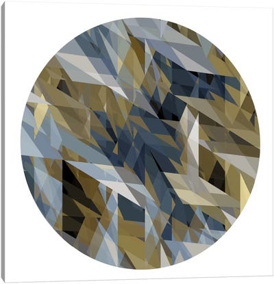 Facets In The Round II Canvas Art Print