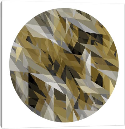 Facets In The Round III Canvas Art Print