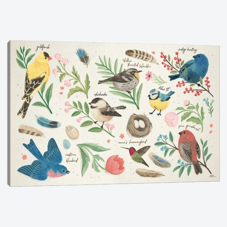 Bird Study I Canvas Print #JAP176} by Janelle Penner Canvas Print