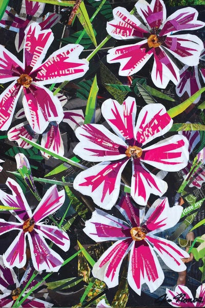 Jim Nonas: Flowers by Jim Nonas