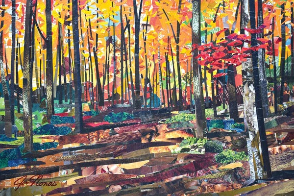 Jim Nonas: Forest Orange by Jim Nonas