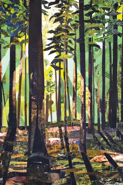 Jim Nonas: Forest I by Jim Nonas