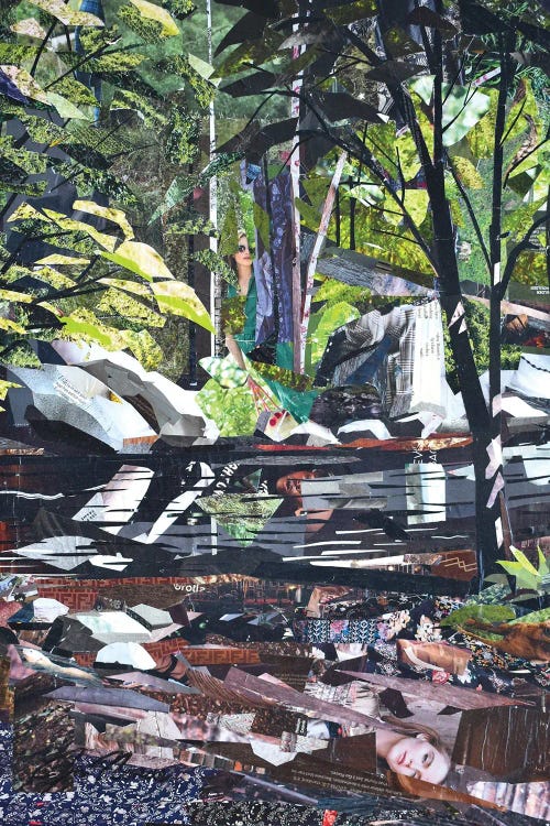 Harriman Hike II by Jim Nonas wall art