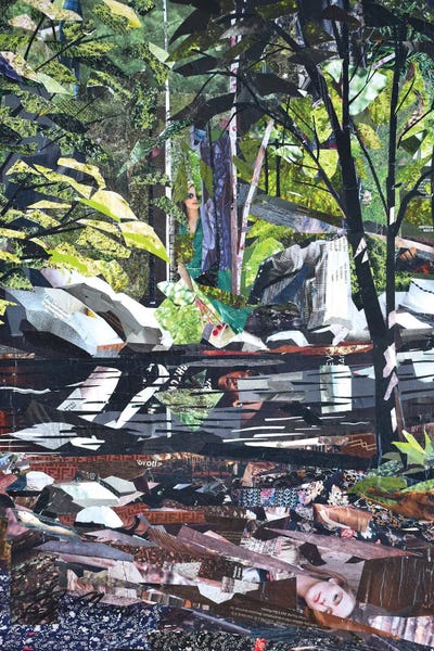 Jim Nonas: Harriman Hike II by Jim Nonas